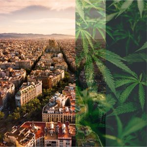 Lee más sobre el artículo La era de los clubes de cannabis: Barcelona y más allá