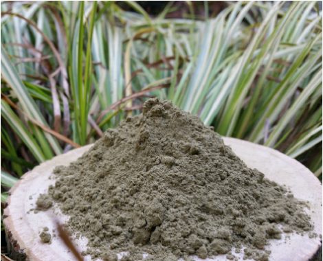 green-leaf-kratom-470x380.jpg